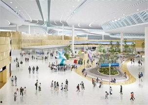 青岛飞机场爆料视频最新,惊现神秘事件，航拍视频曝光惊人一幕